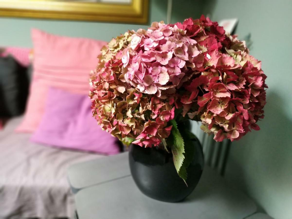 شقة Chez Anne Fécamp المظهر الخارجي الصورة